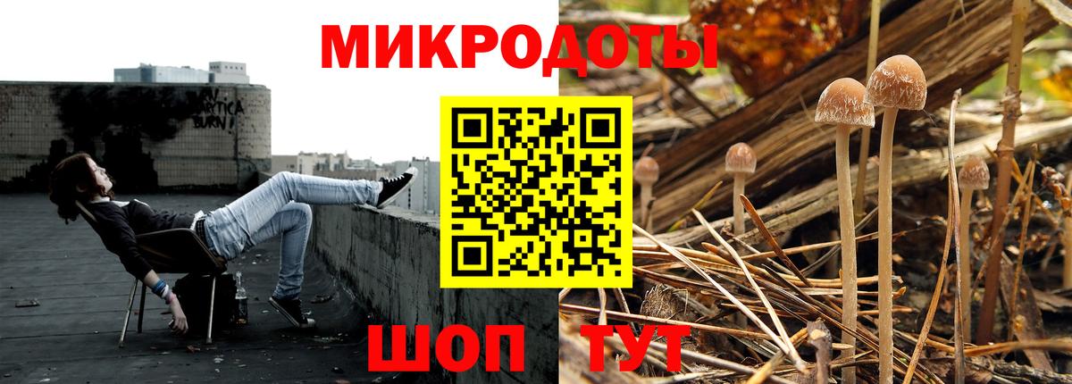 Псилоцибиновые грибы Magic Shrooms Белово